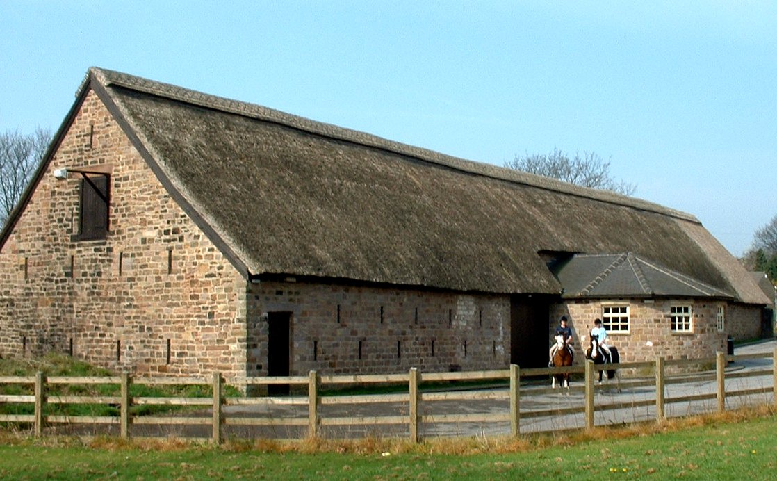 Back of Barn 